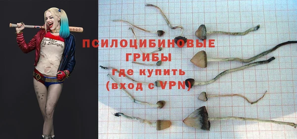 каннабис Баксан