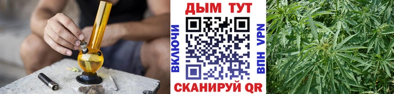 Марихуана сатива Собинка