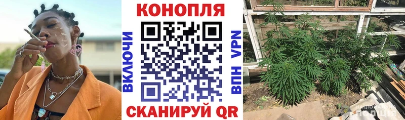 Шишки марихуана Bruce Banner Собинка